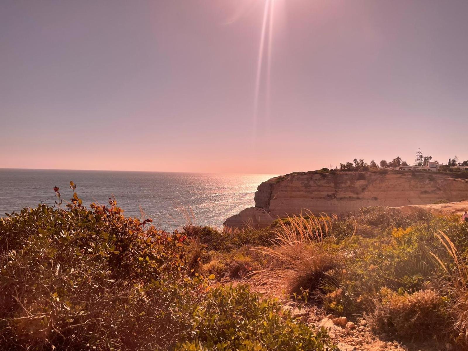 Casa De Celebrar A Vida Holiday home